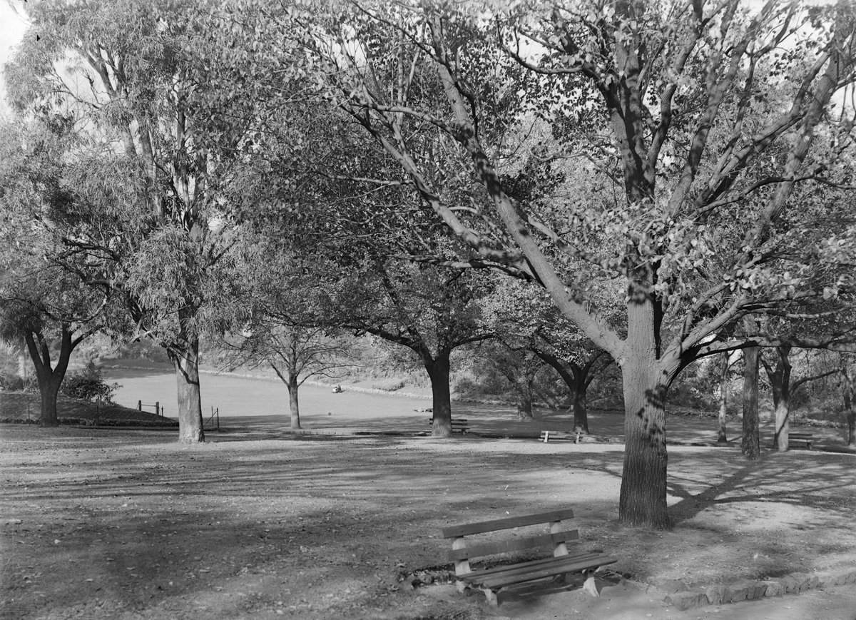 Flagstaff Gardens, Melbourne, Melbourne City (1945–54)