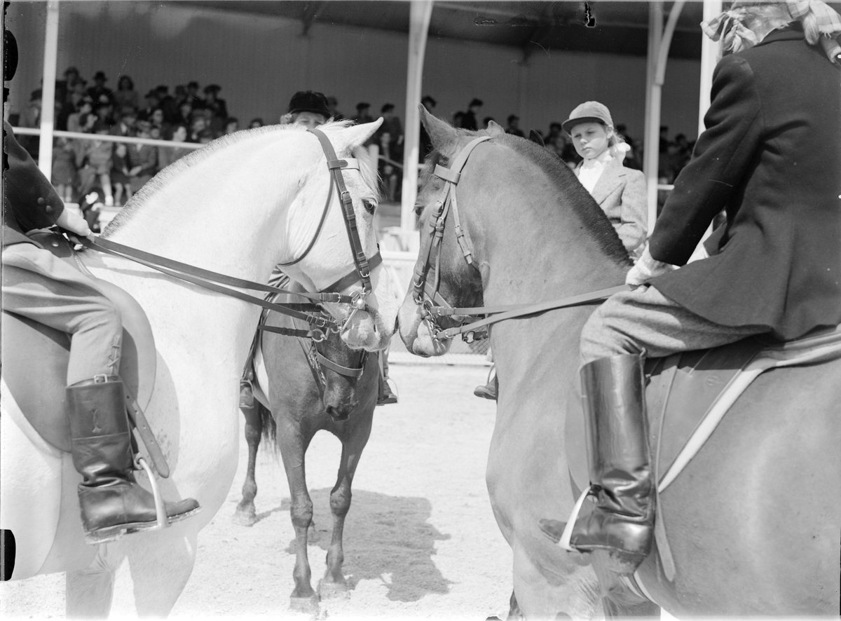 Equine Friendship, Royal Show, Melbourne (1947)
