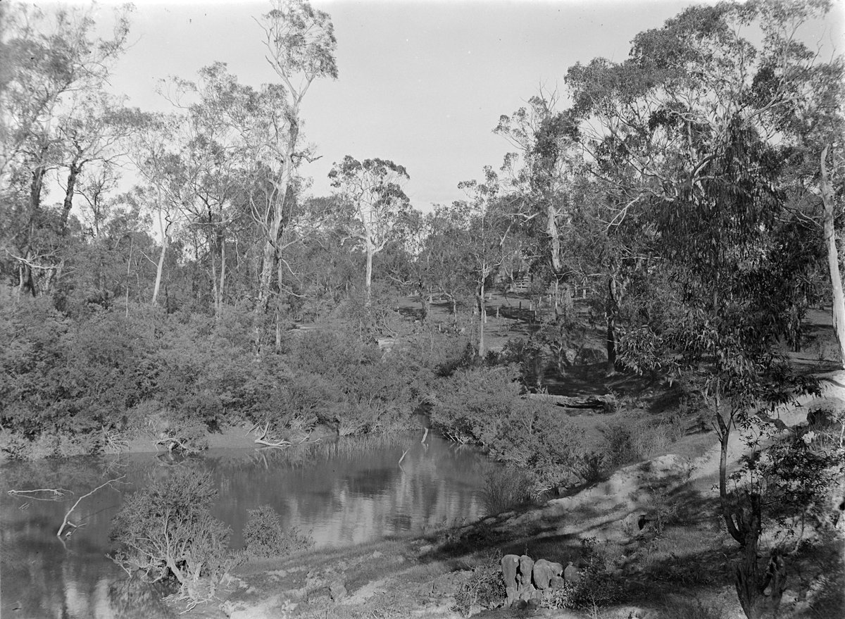 Eltham (1945–54)