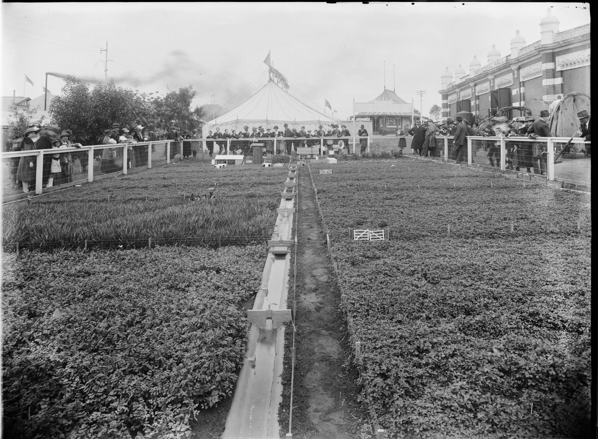 Model farm at Royal Melbourne Show 1929 (1900–40)