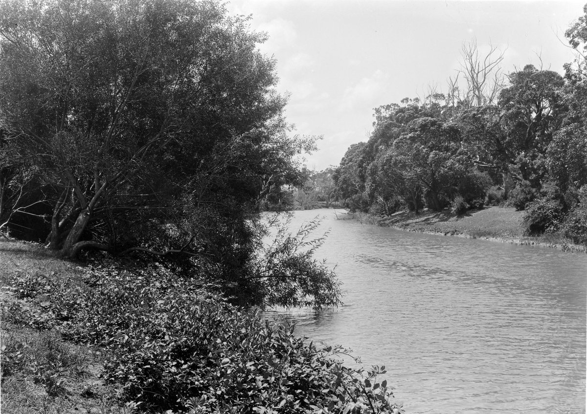 River Yarra, Warrandyte (1945–54)