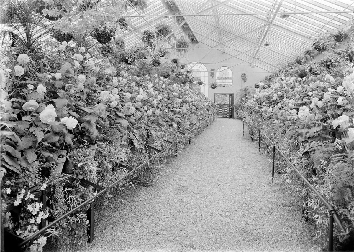 Interior of the Conservatory, Fitzroy Gardens, East Melbourne (1945–54)