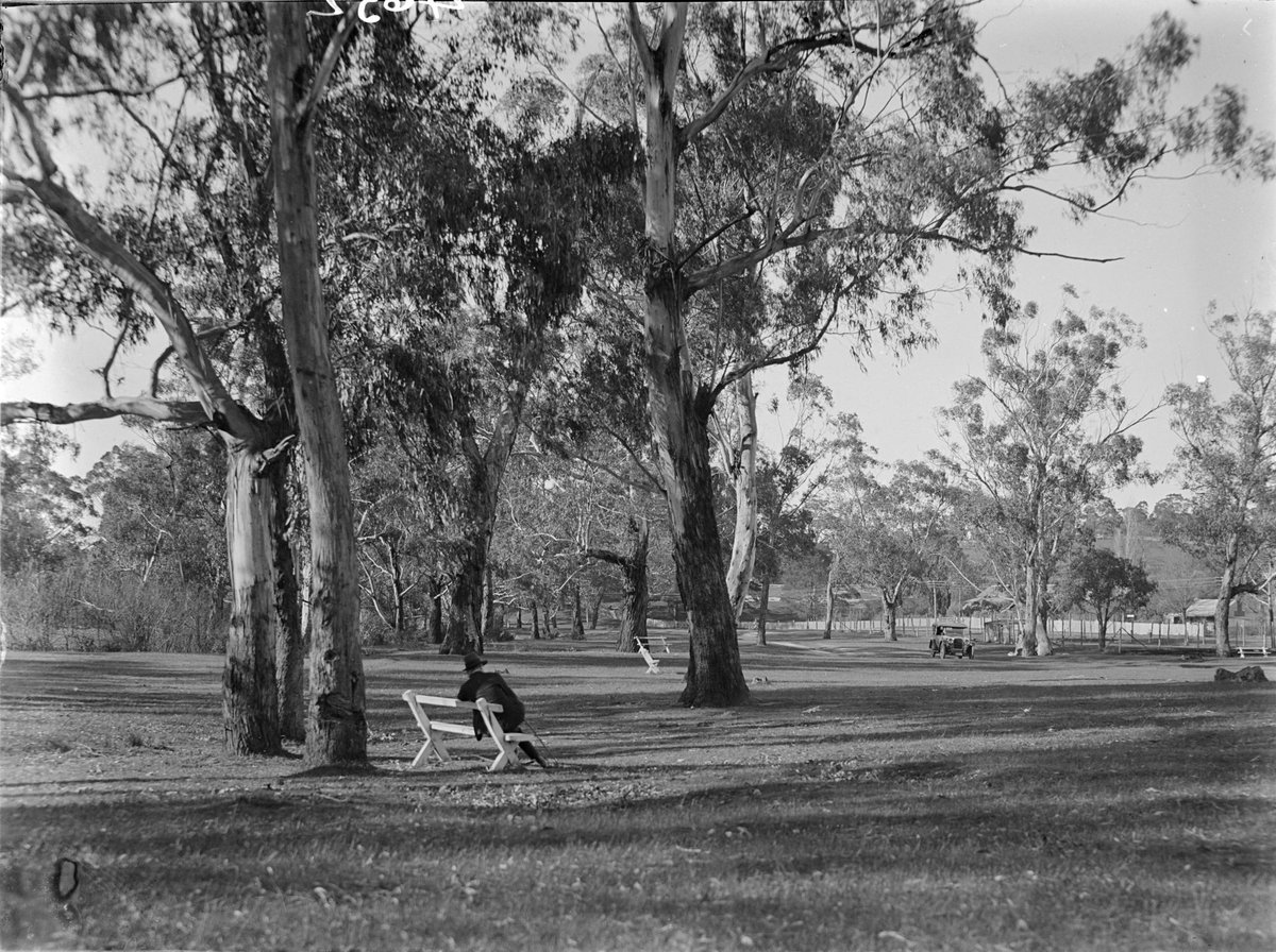 Eltham (1945–54)