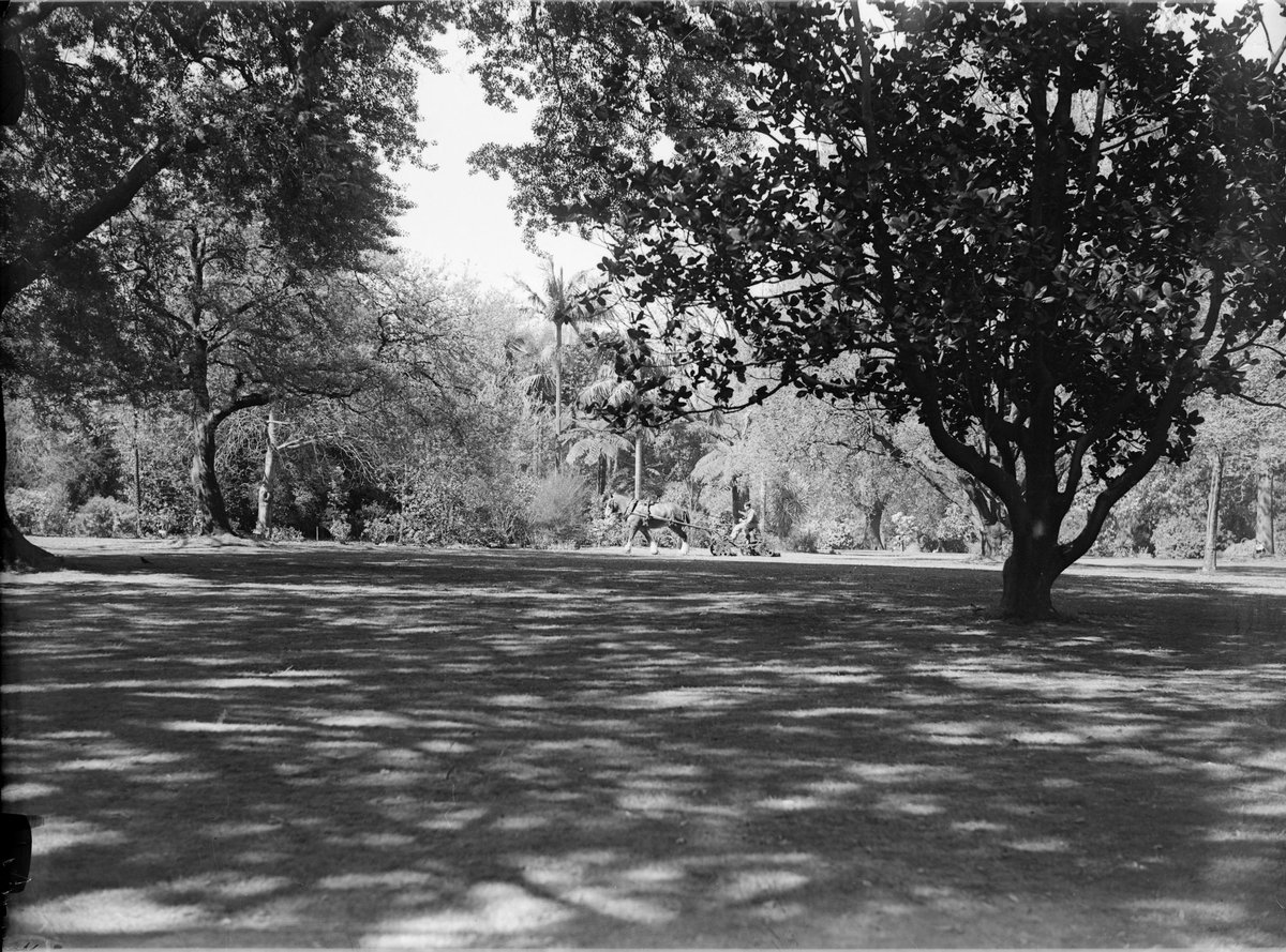 Botanic Gardens, Melbourne, Melbourne City (1947)