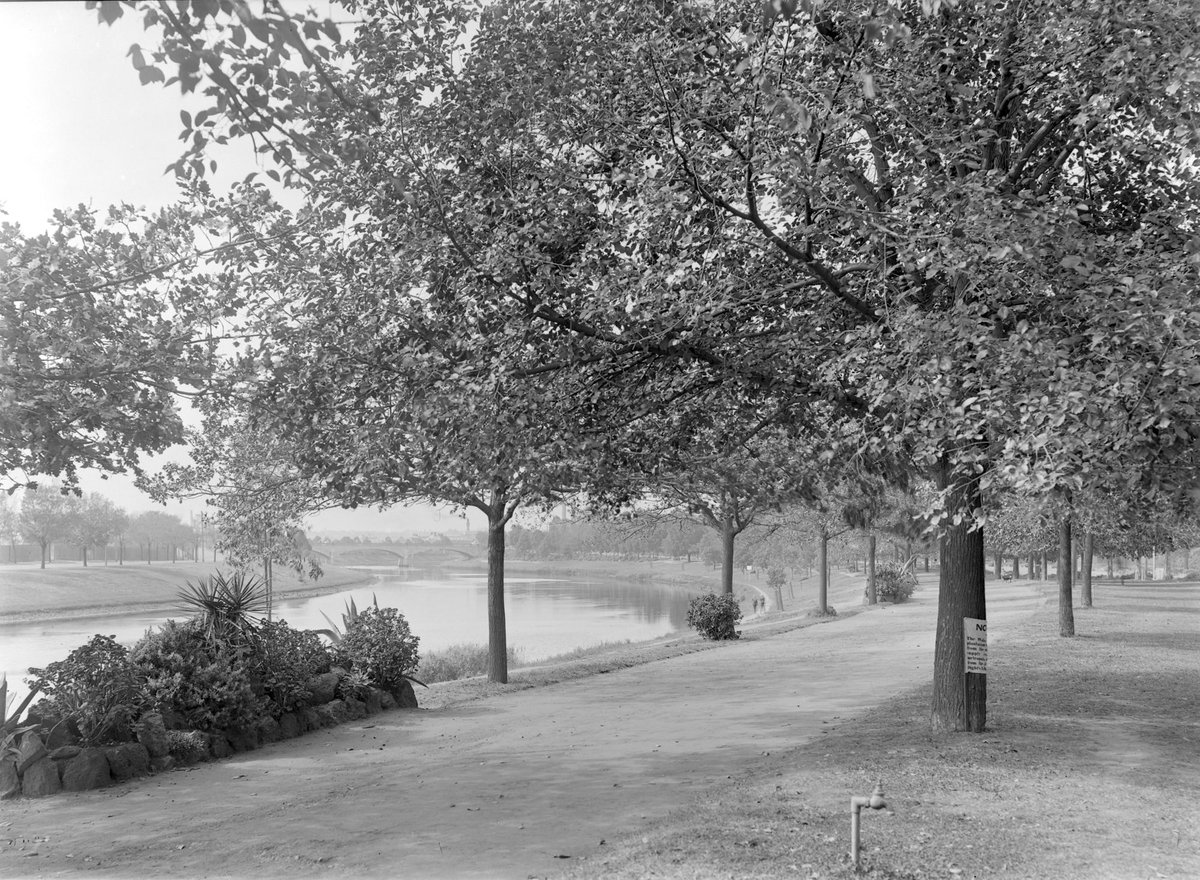 [Yarra River, Batman Avenue] (1945–54)