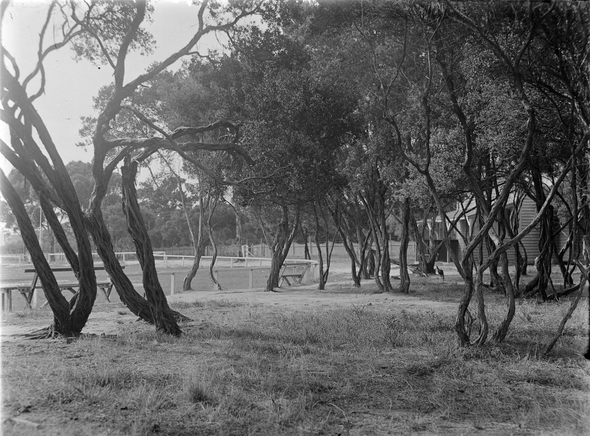 Frankston (1945–54)