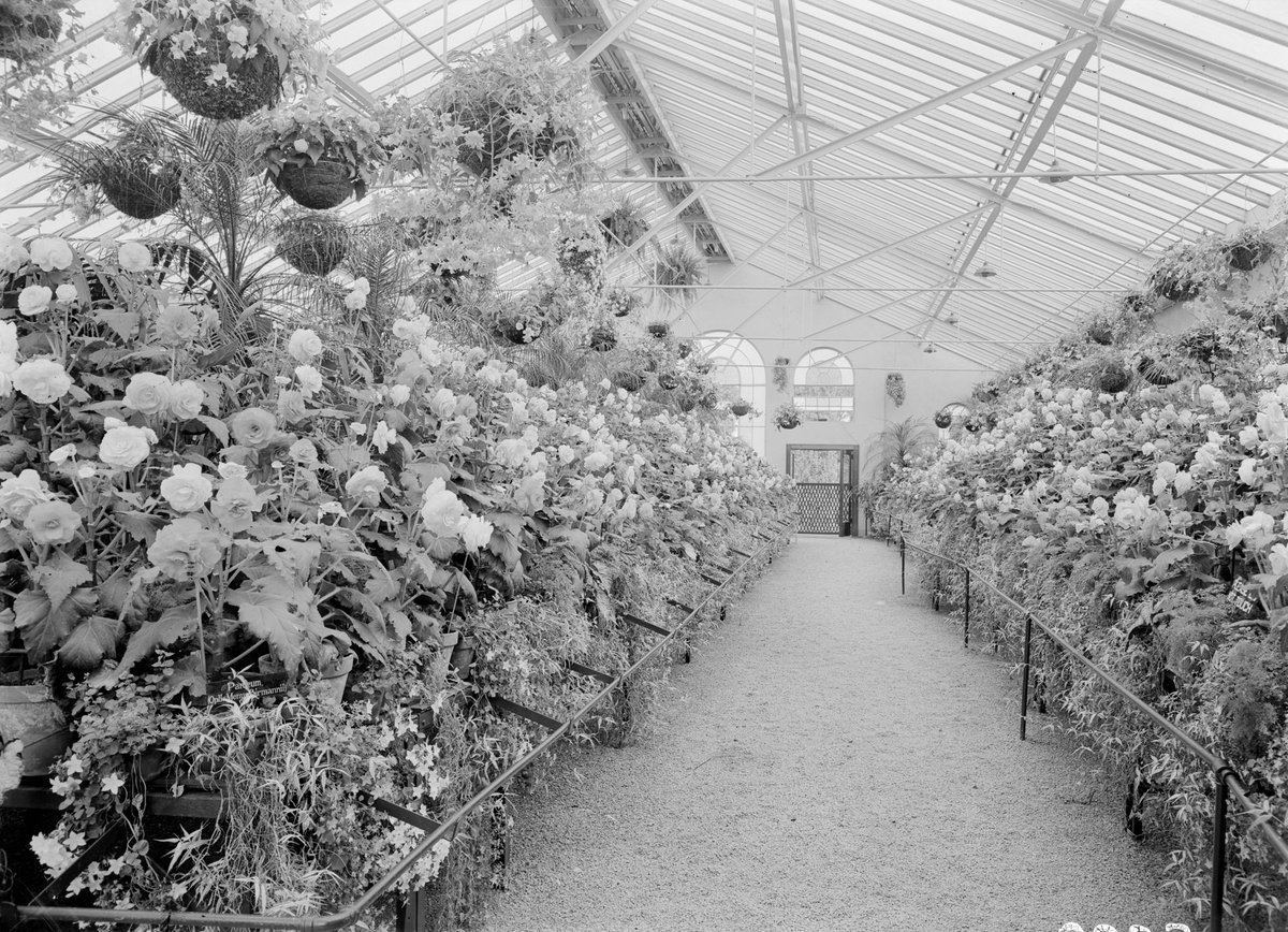 Begonia House, Fitzroy Gardens, East Melbourne (1945–54)