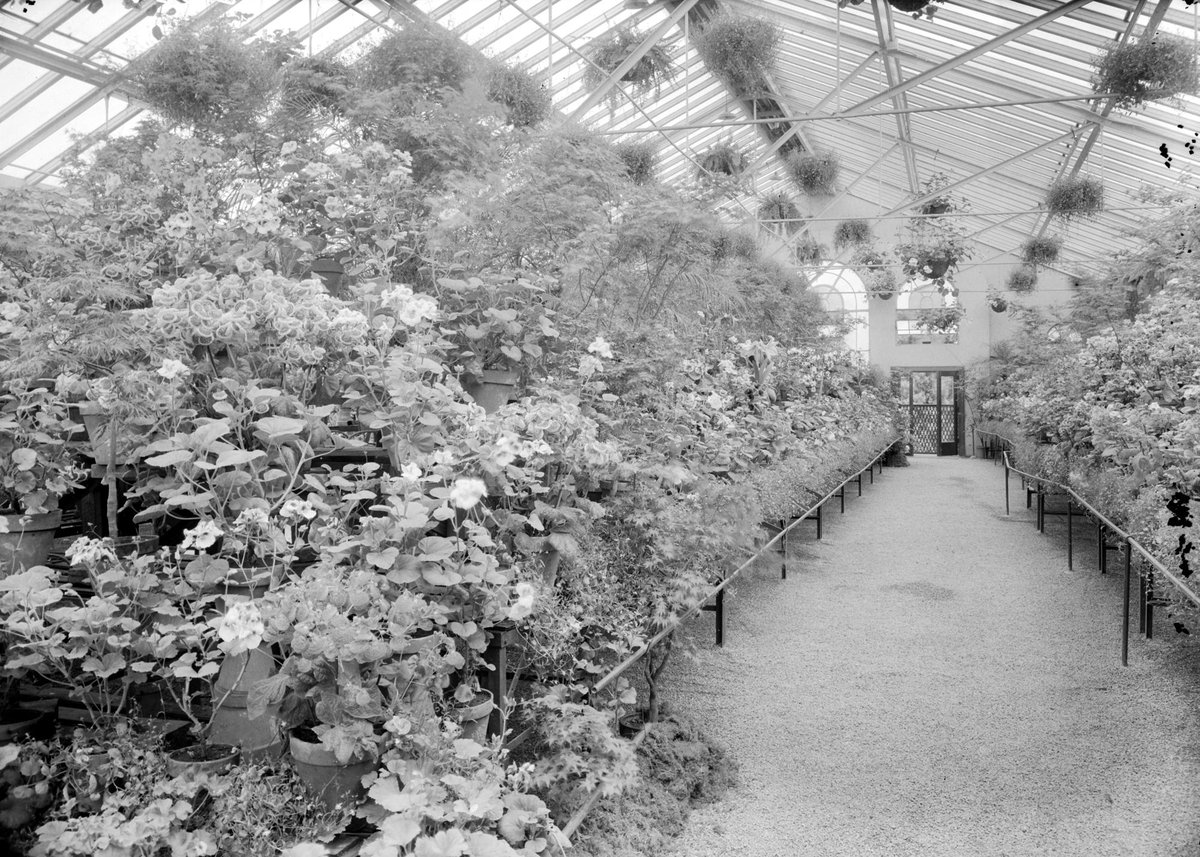 Begonia House, Fitzroy Gardens, East Melbourne (1945–54)
