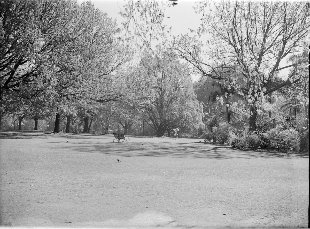 Botanic Gardens, Melbourne, Melbourne City (1947)