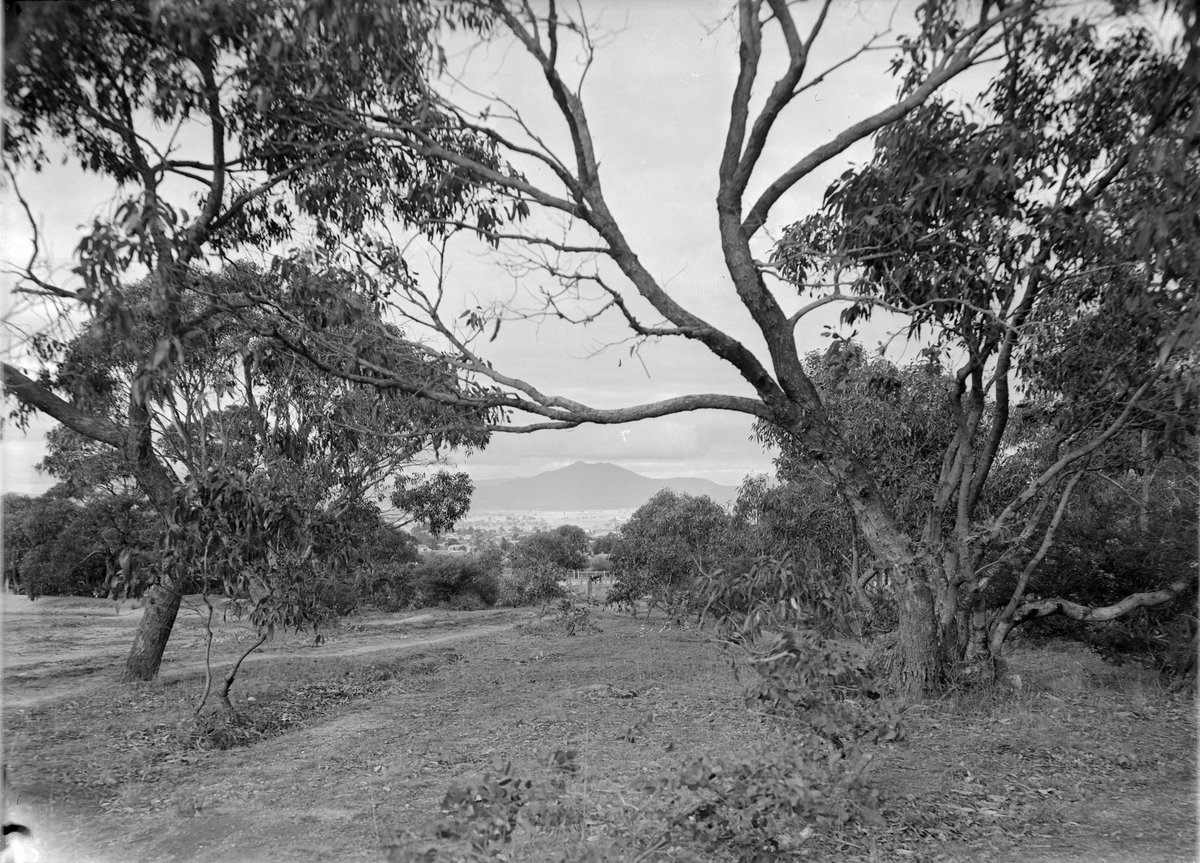 Mt. Mistake from Reservoir, Ararat (1945–54)