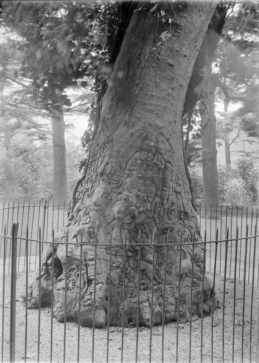 Fairy Tree, Fitzroy Gardens, East Melbourne (1945–54)