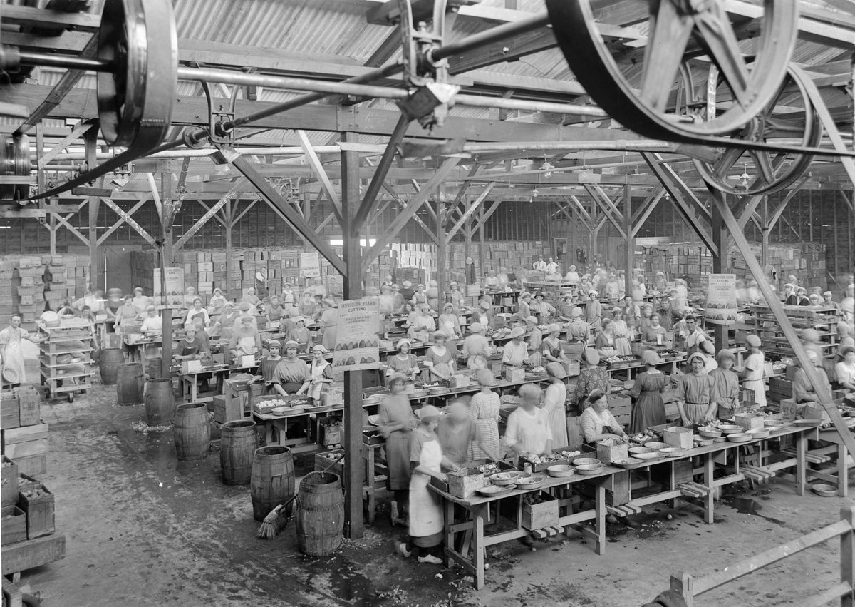 Interior of fruit factory, Flemington (1945–54)