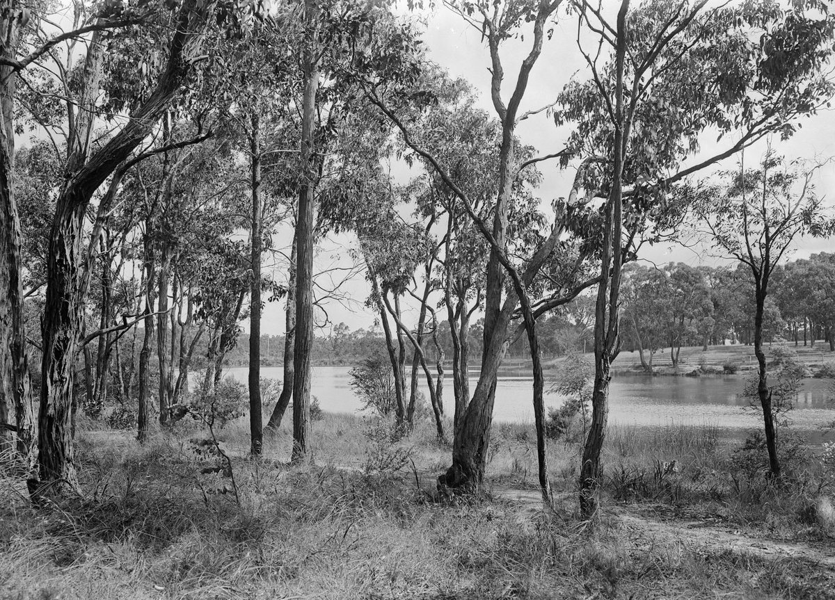 Blackburn Lake, Blackburn (1945–54)