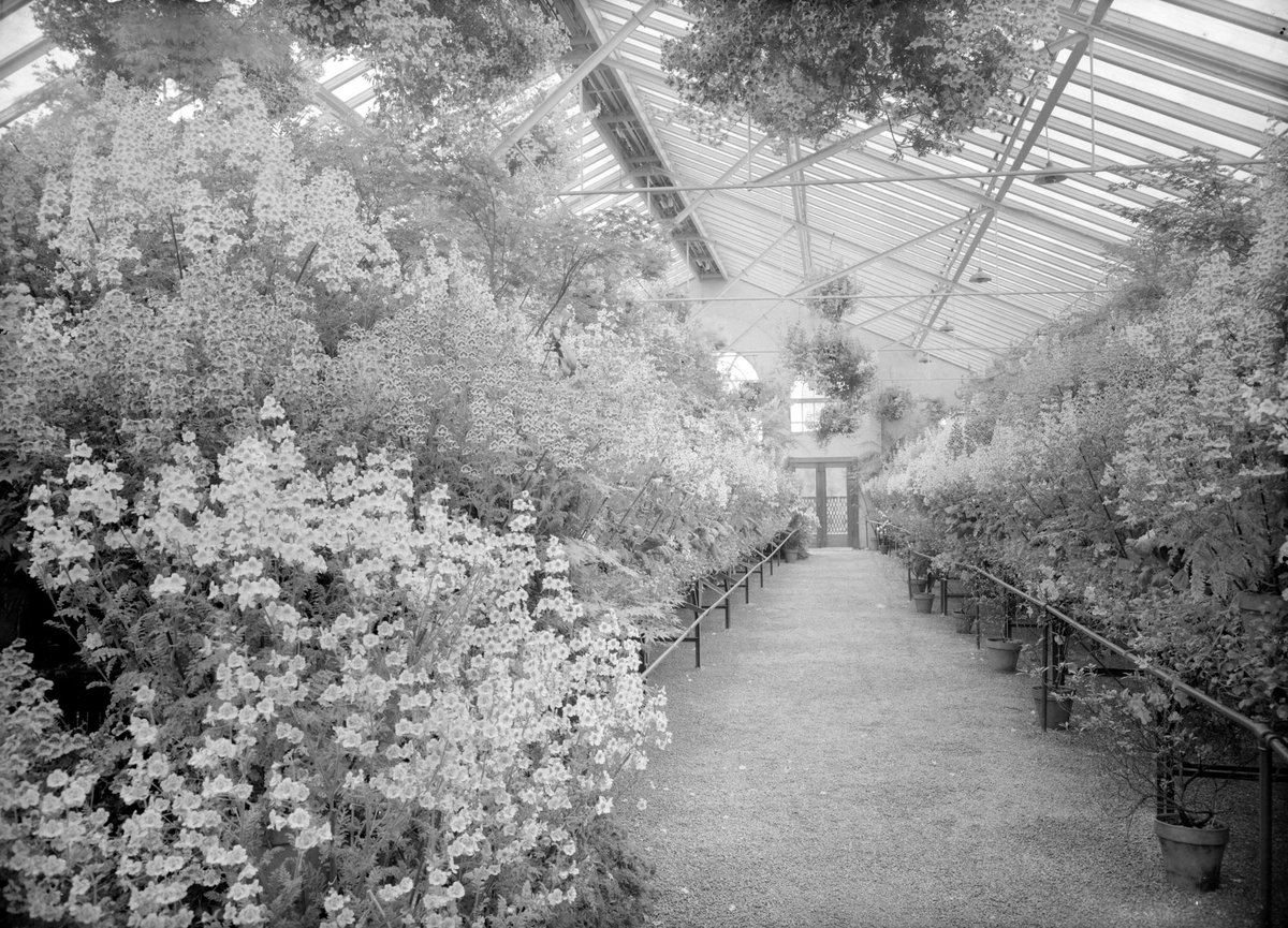 Begonia House, Fitzroy Gardens, East Melbourne (1945–54)