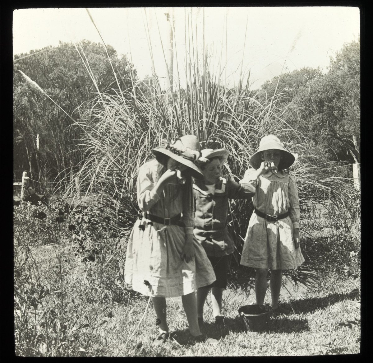 Gertrude (Peggy), Gerard ("Bones") and Clare [Wardell] blowing bubbles - "Ivanhoe", Sorrento (1904–20)
