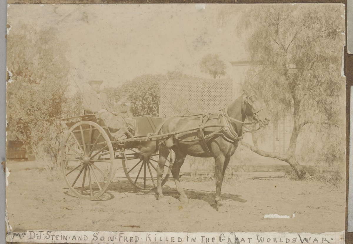 Eight images related to the Metropolitan Fire Brigade, Melbourne (1900–26)