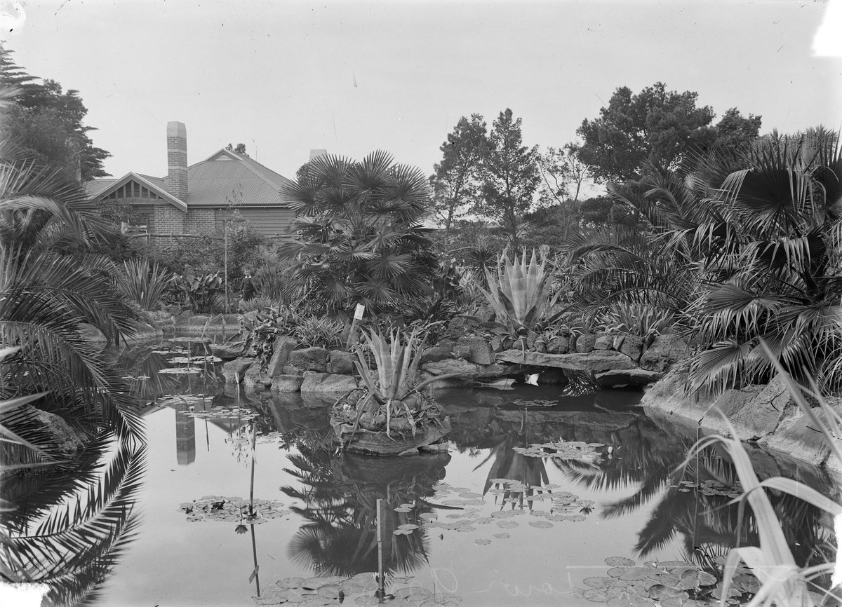 Williamstown botanic gardens, Vic, Melbourne City (1900–20)