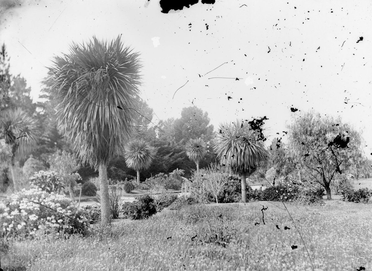 "Botanic Gardens, Williamstown", Melbourne City (c. 1920)