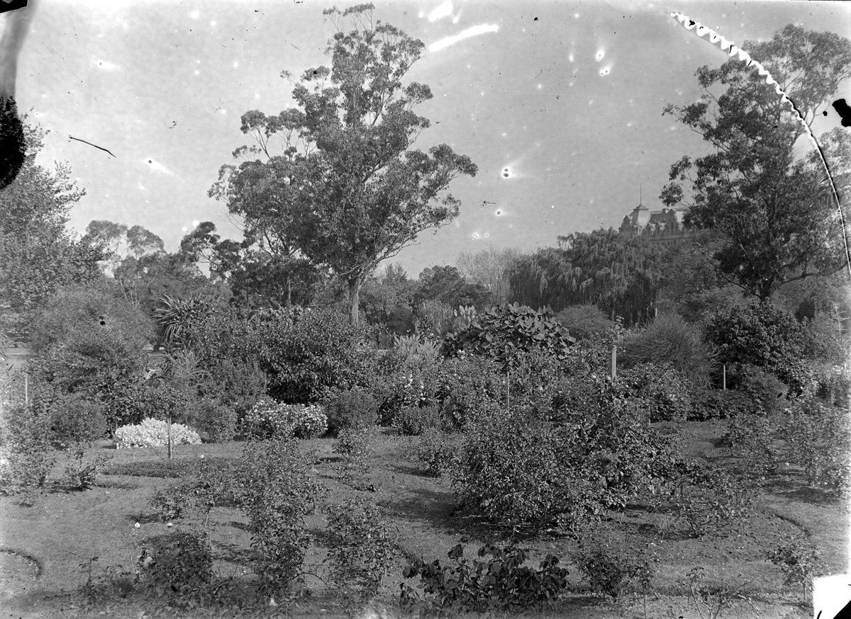 "Botanic Gardens, Williamstown", Melbourne City (c. 1920)