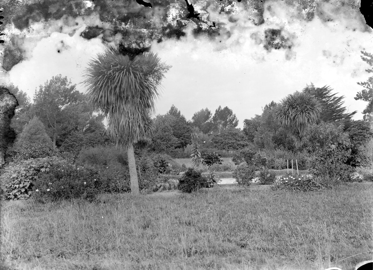 Botanic Gardens, Williamstown, Melbourne City (c. 1920)