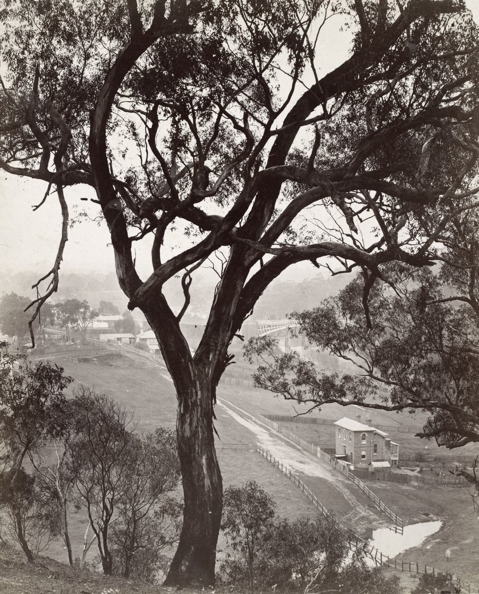 Studley Park Johnston Street Bridge, Kew (c. 1885)