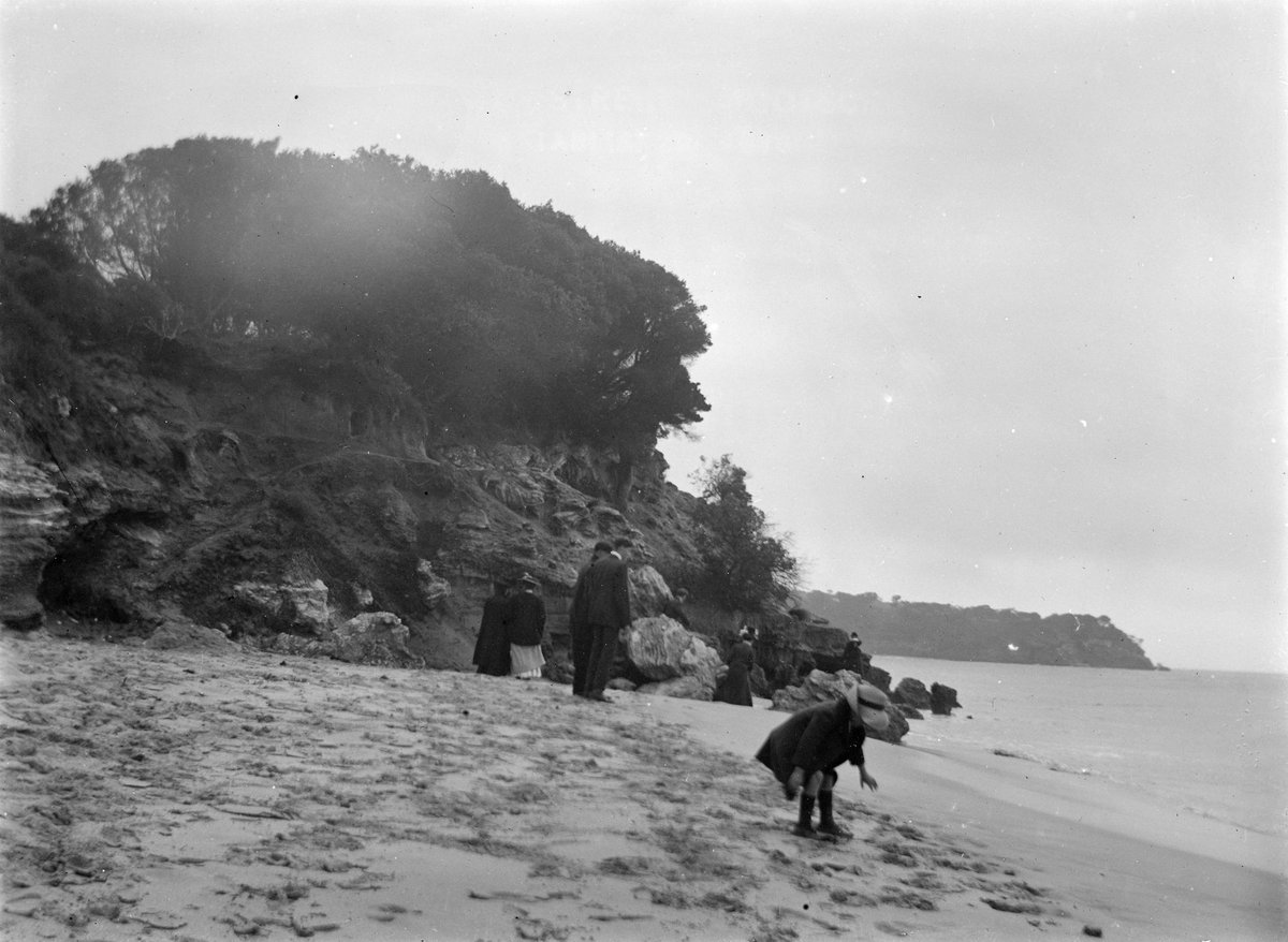 Family outing to the beach on Port Phillip Bay (1900–20)
