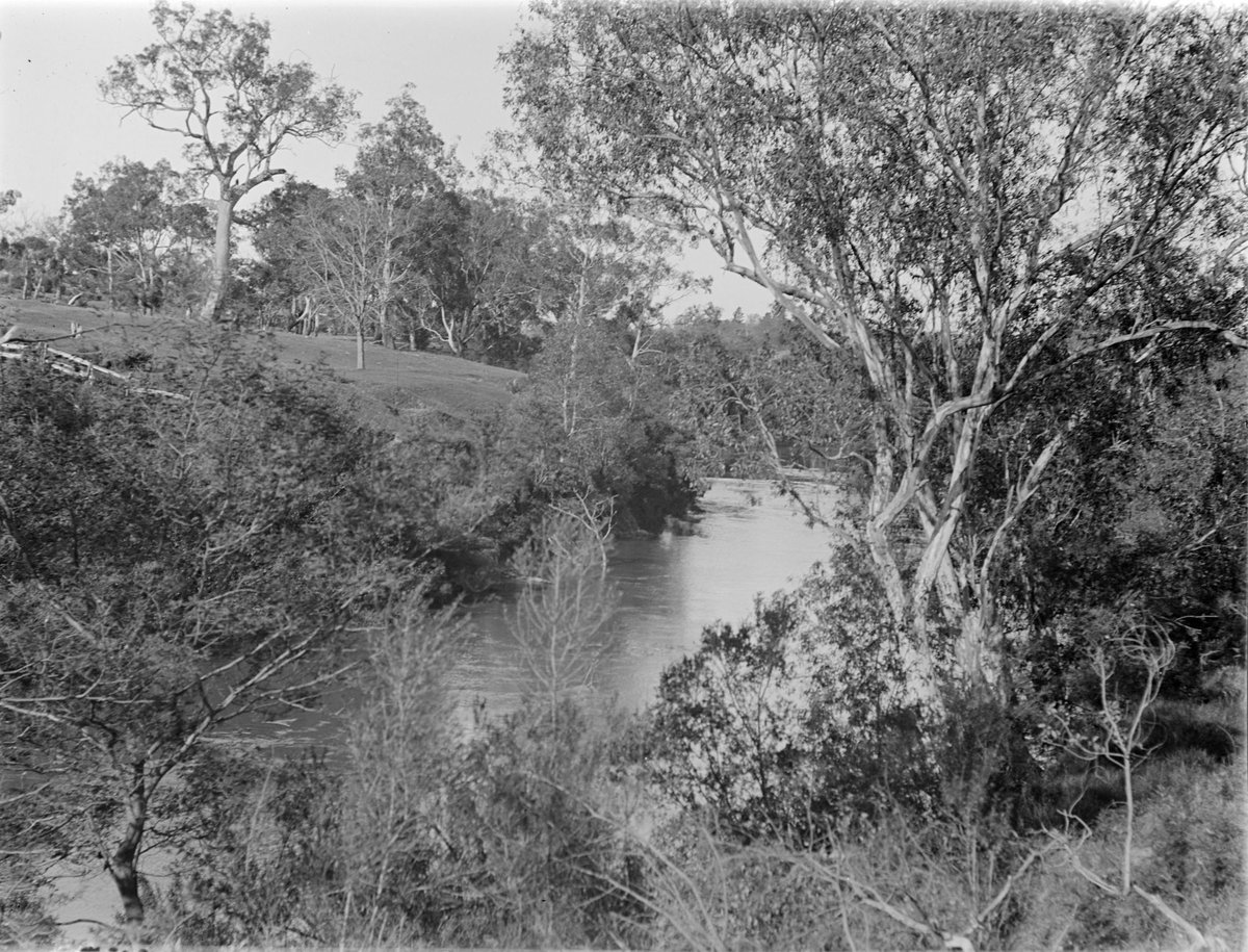 "Yarra" at Templestowe (1898)