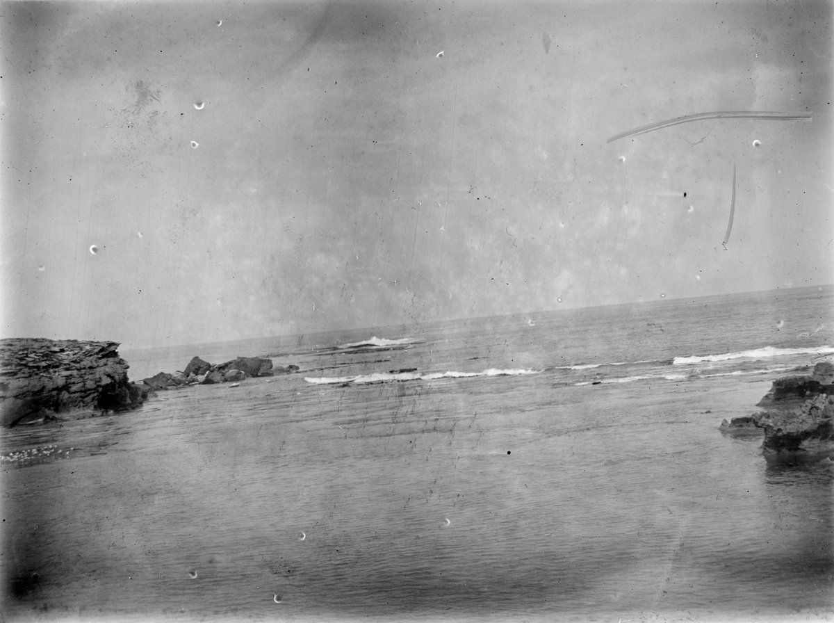 View across Port Phillip Bay, with rocks and seagulls in foreground (1900–20)