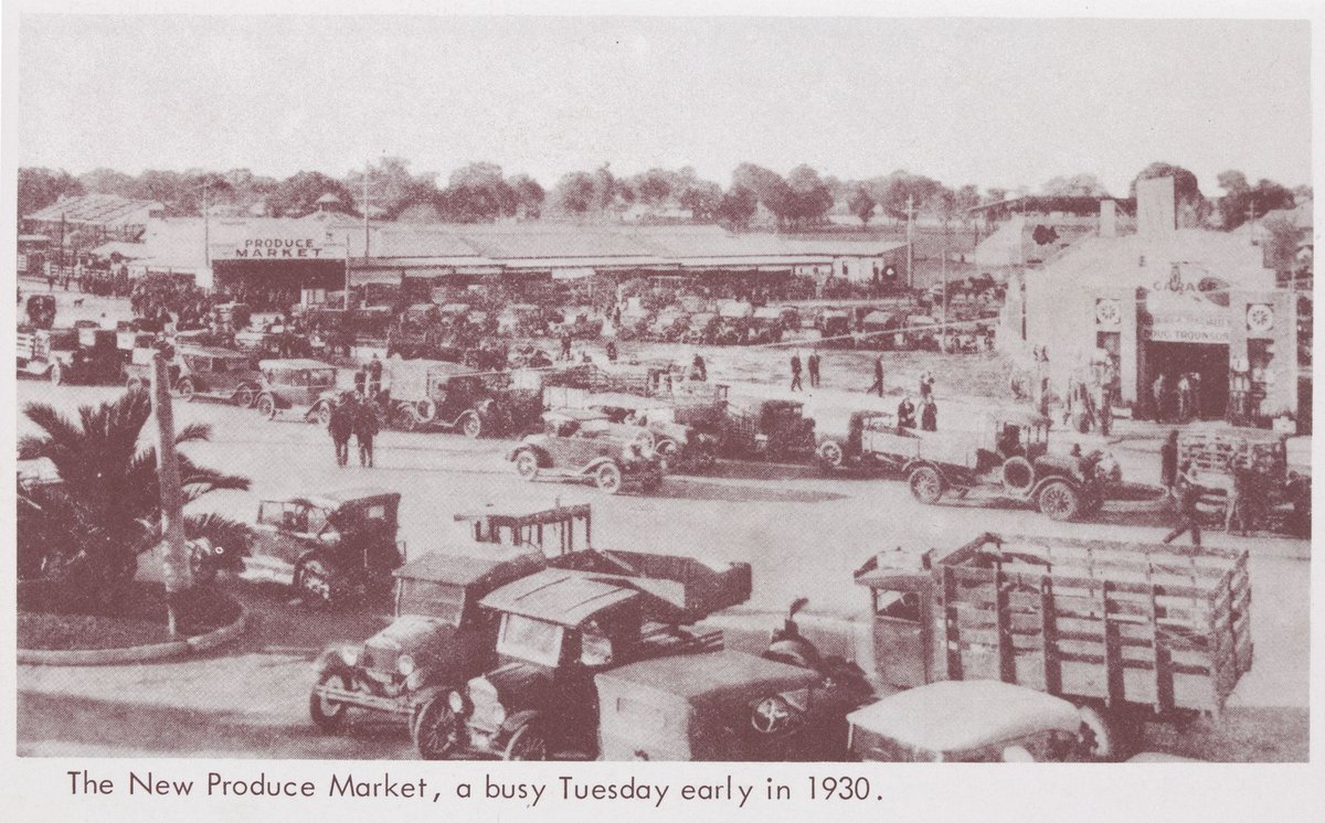 Early Dandenong 1850-1930 : Pictorial glimpses (1850–1930)