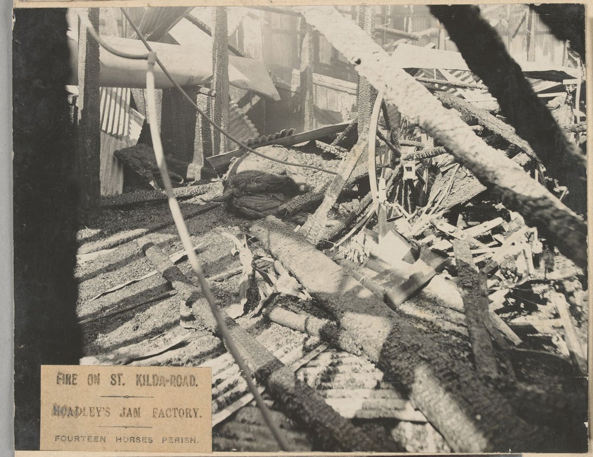 Eight images related to the Metropolitan Fire Brigade, Melbourne (1899–1920)
