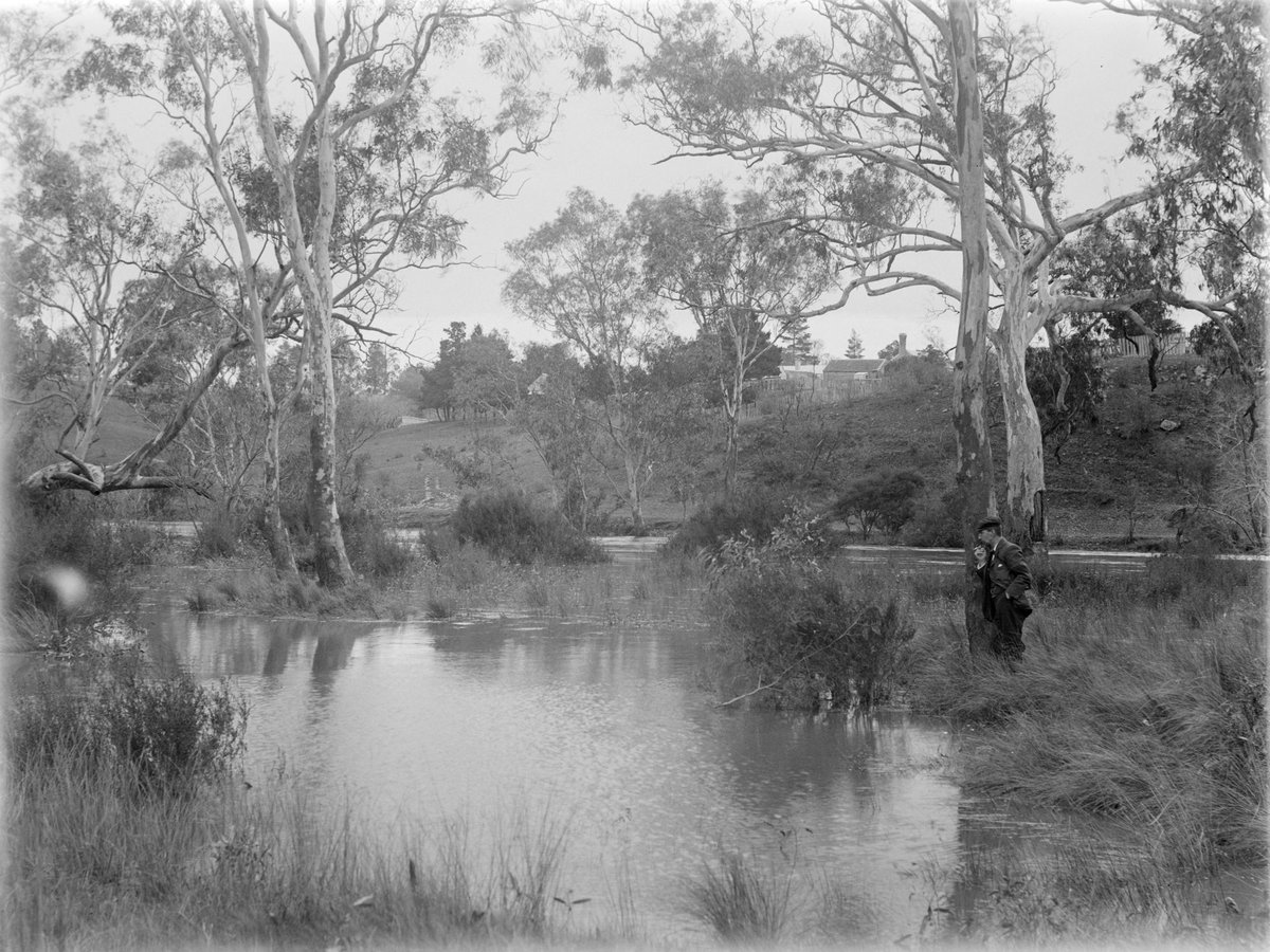 Yarra at Fairfield (1901)