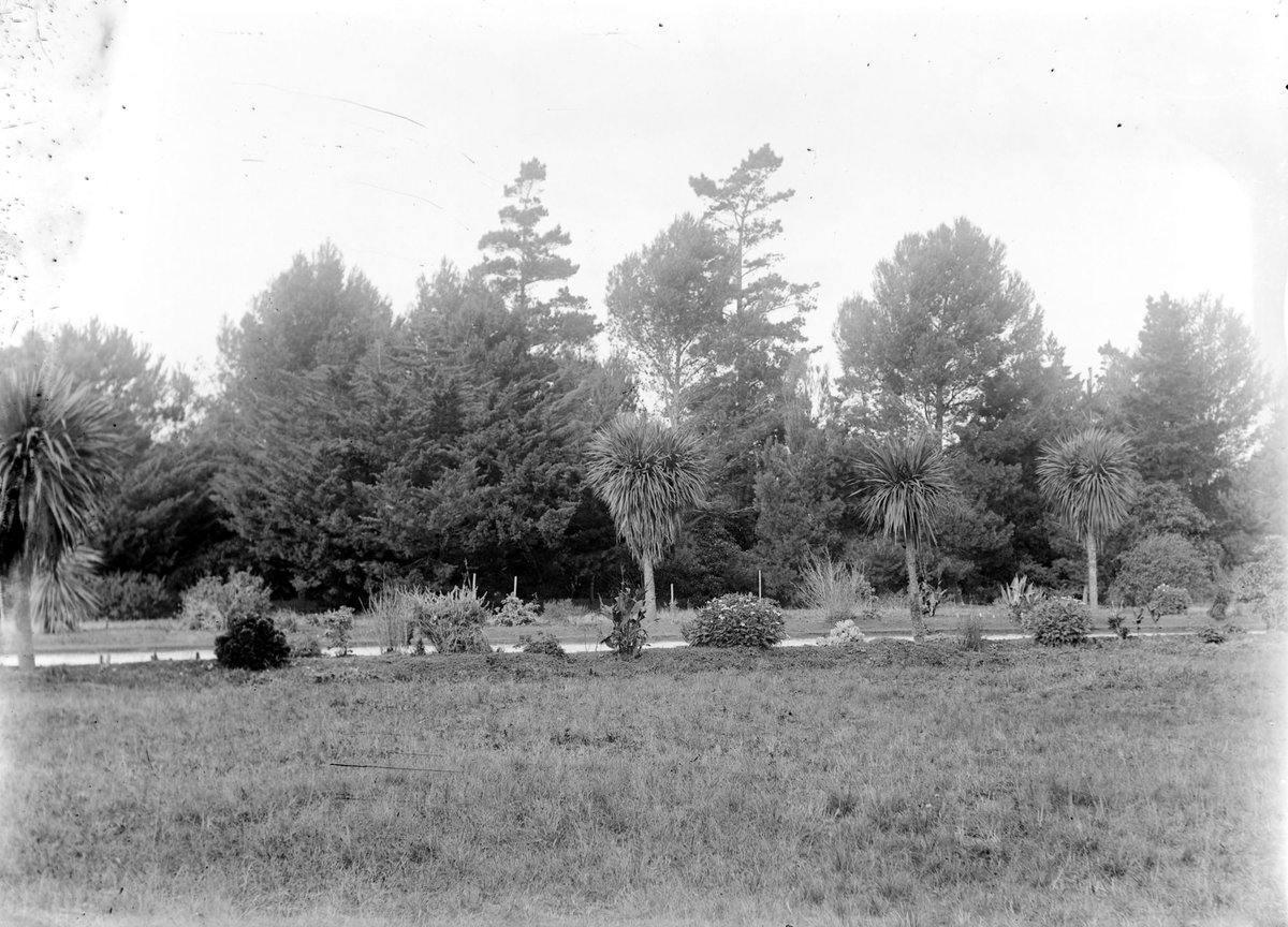 "Botanic Gardens, Williamstown", Melbourne City (1917–23)