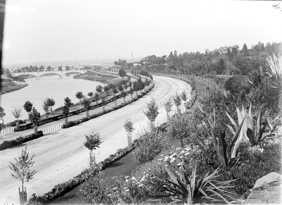 Morell Bridge, crossing the Yarra River, South Yarra (1899–1920)