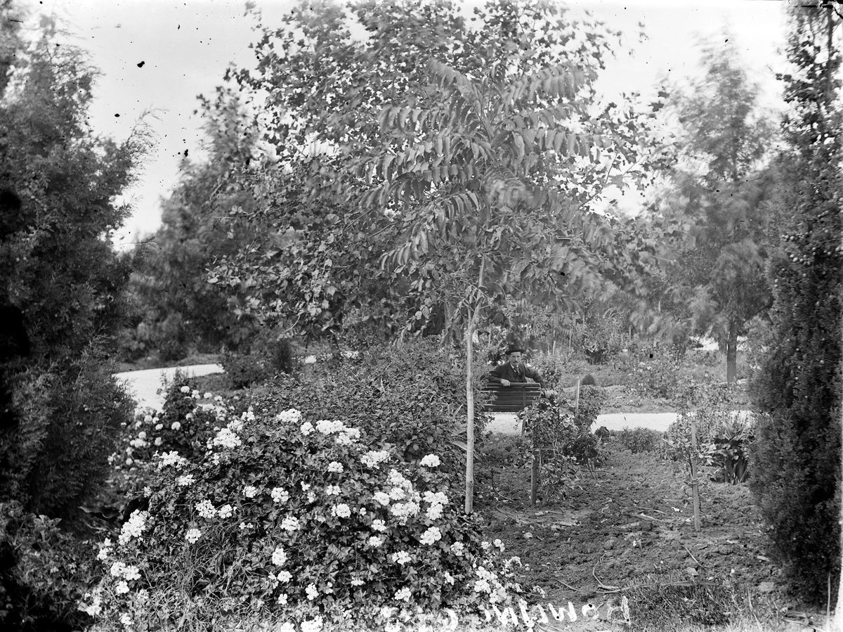 Bowling Green (Williamstown) (c. 1920)