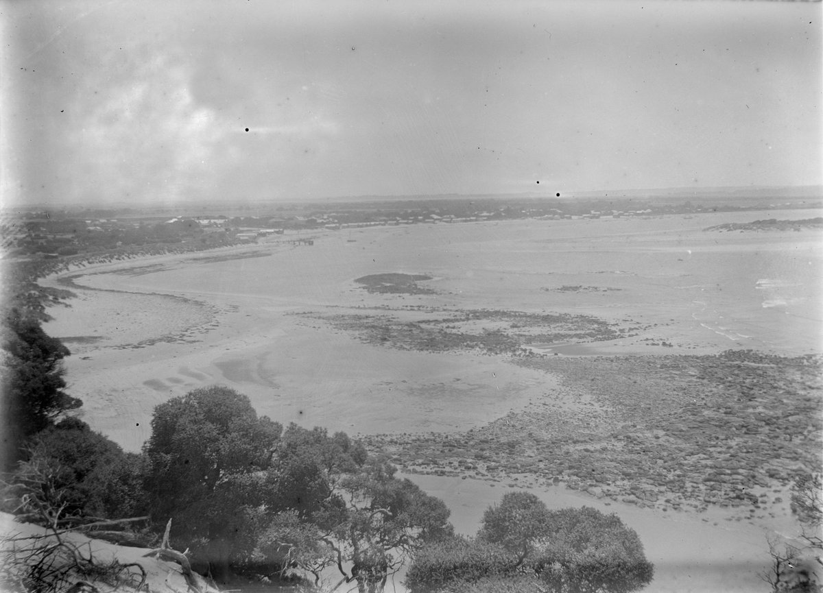 Panoramic view over rock pools on Port Phillip Bay at low tide (1900–20)