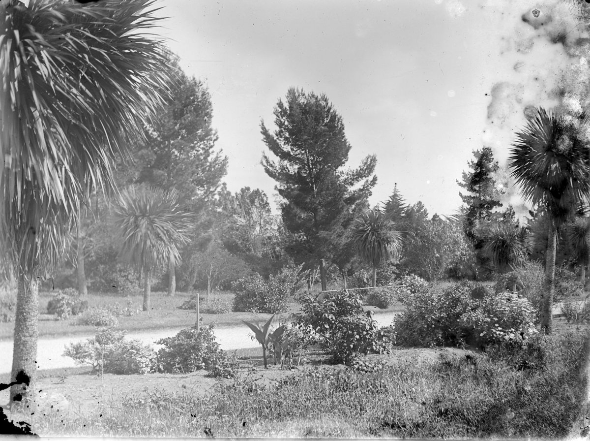 "Botanic Gardens, Williamstown", Melbourne City (c. 1920)