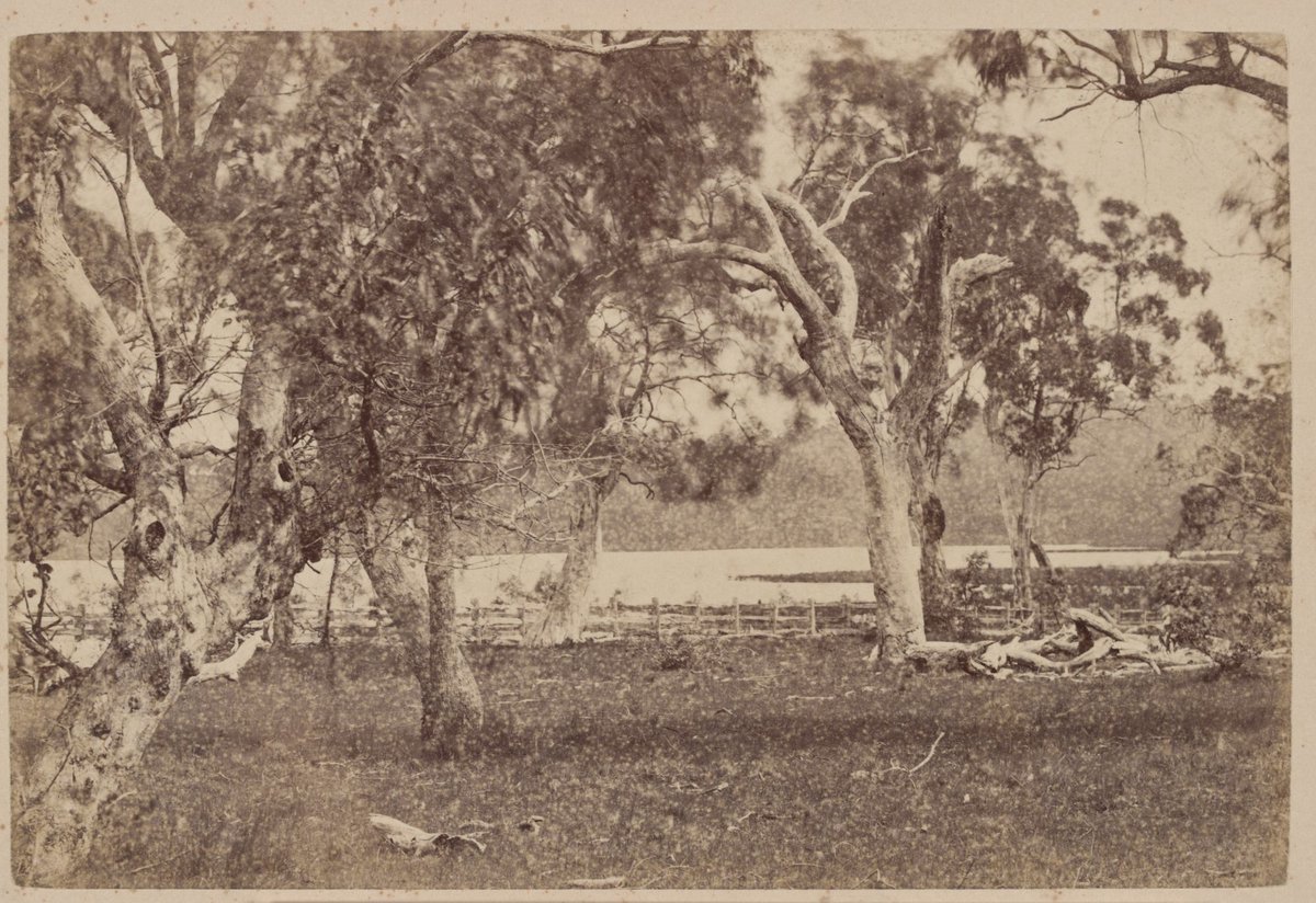 Harcourt Reservoir. Mount Alexander 78 Miles N.N.W. from Melbourne (c. 1875)