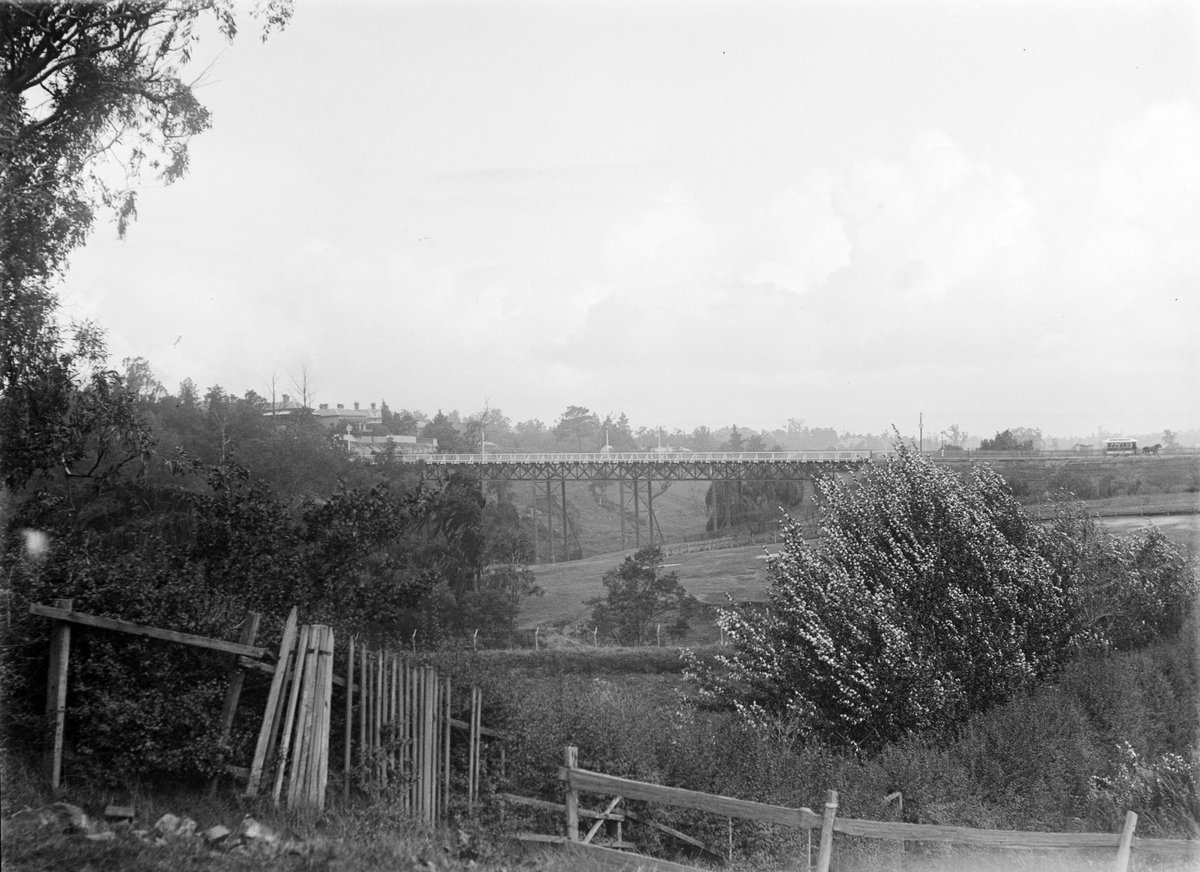 Victoria Street Bridge from Studley Park side, Kew (1900)