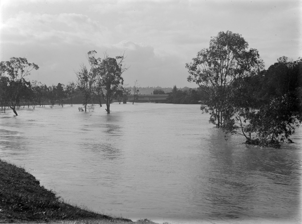 Flood. From Hawthorn Railway Bridge Looking North (1901)
