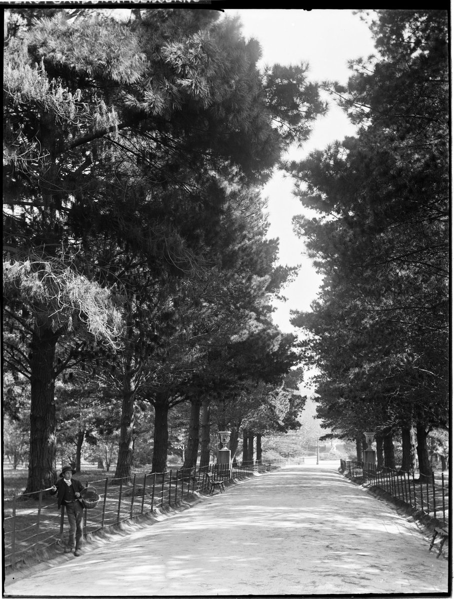 Fitzroy Gardens, Melbourne, East Melbourne (1880–94)
