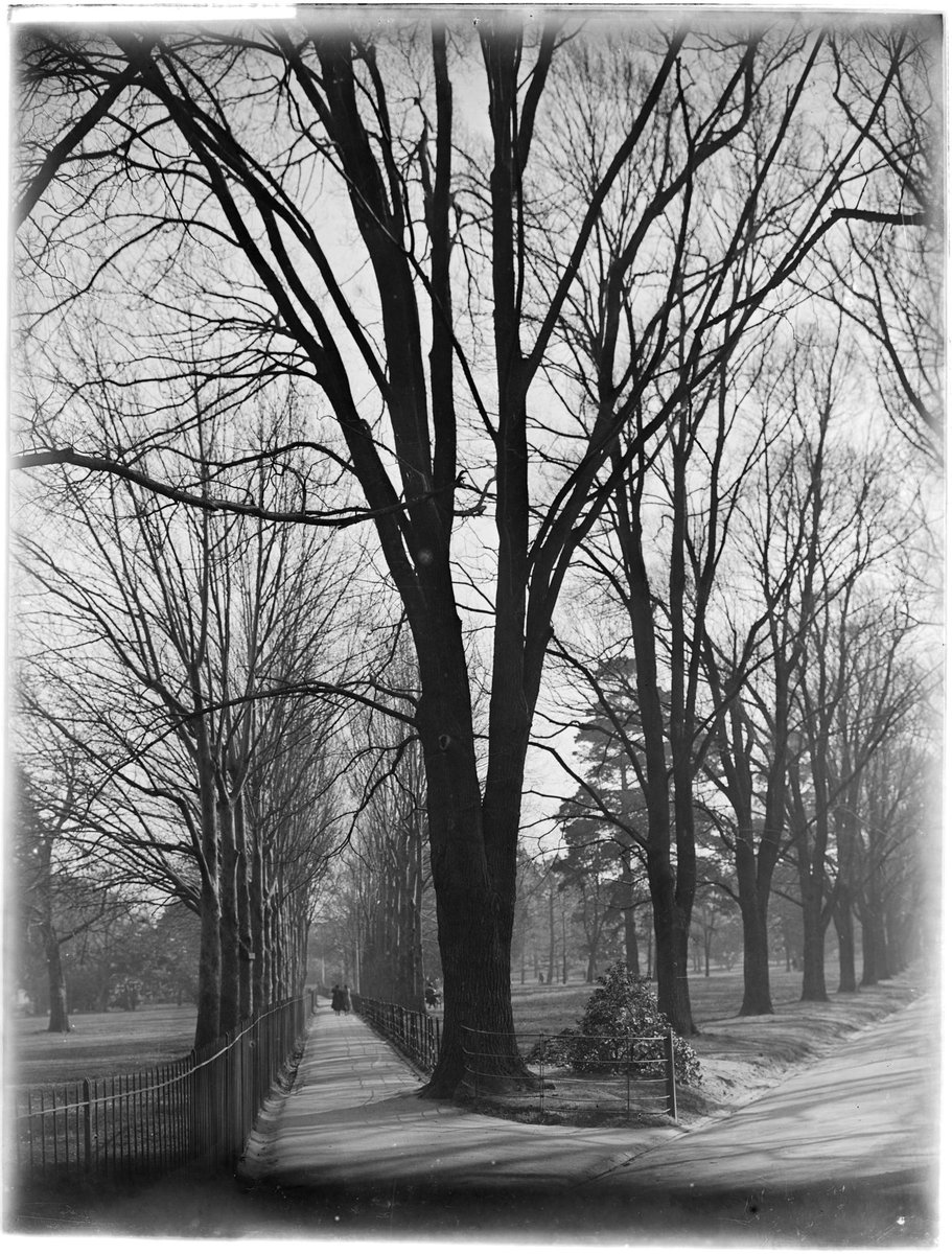 View in Fitzroy Gardens, East Melbourne (1880–94)