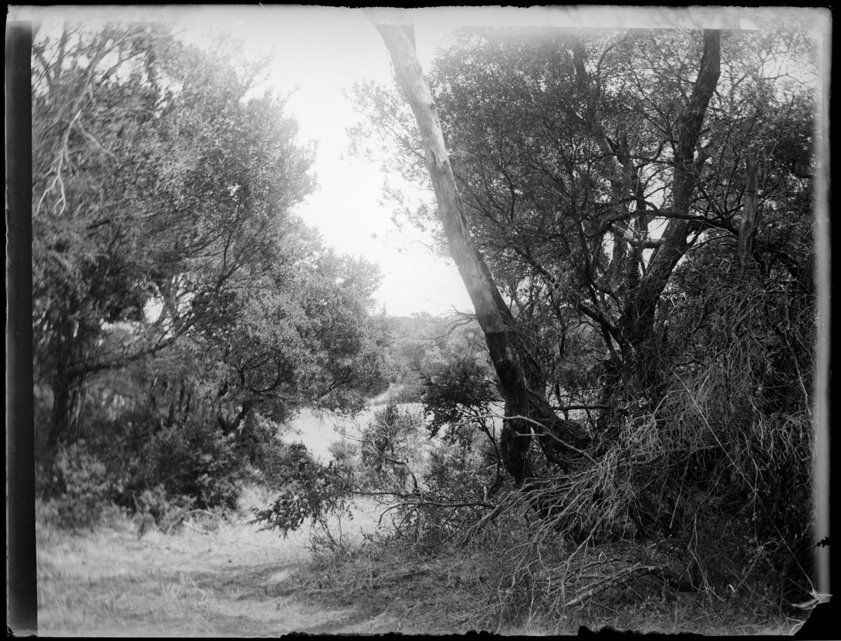 Ivanhoe, Sorrento, Vic (1911–17)