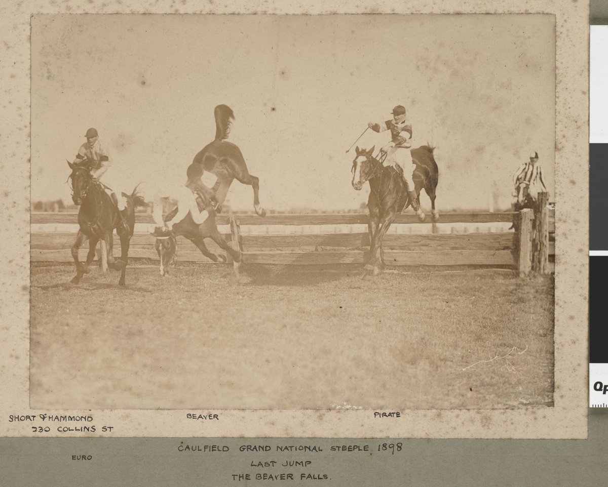Caulfield Grand National Steeple, 1898, Last Jump
