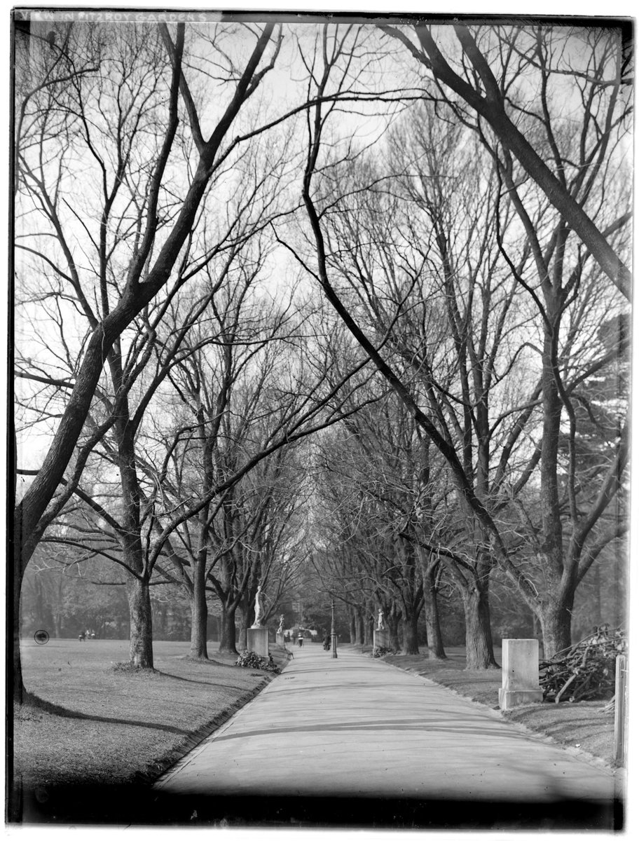 View in Fitzroy Gardens, East Melbourne (1880–1930)