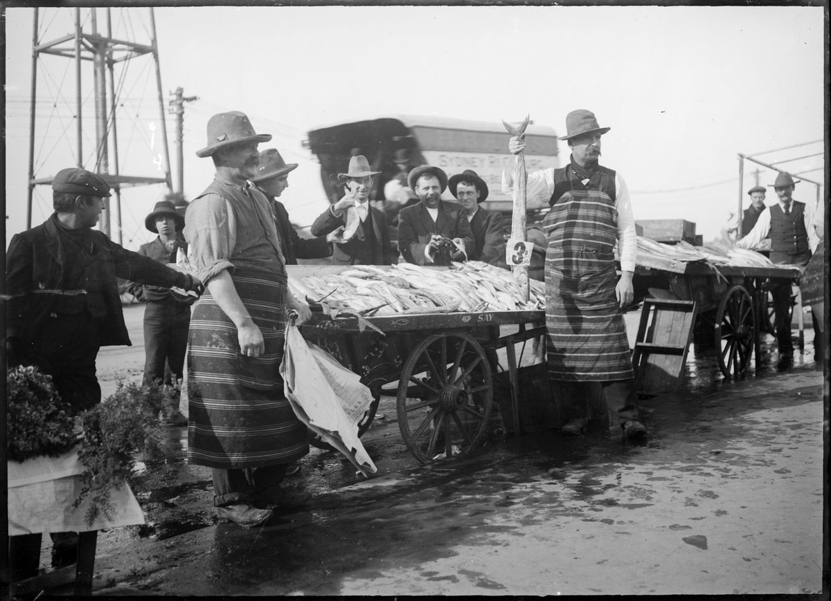 Fish market, Princes Bridge, Melbourne, Melbourne City (1914–16)