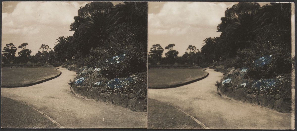 Botanical Gardens, Melbourne, Victoria, Melbourne City (1906?)