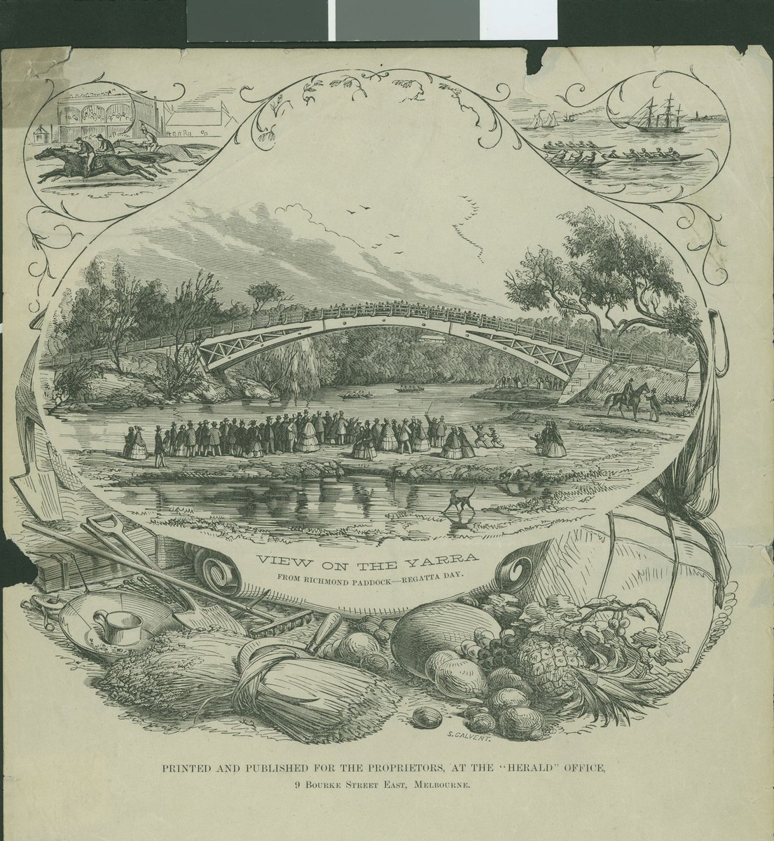 VIEW ON THE YARRA. From Richmond Paddock-Regatta Day (1860)