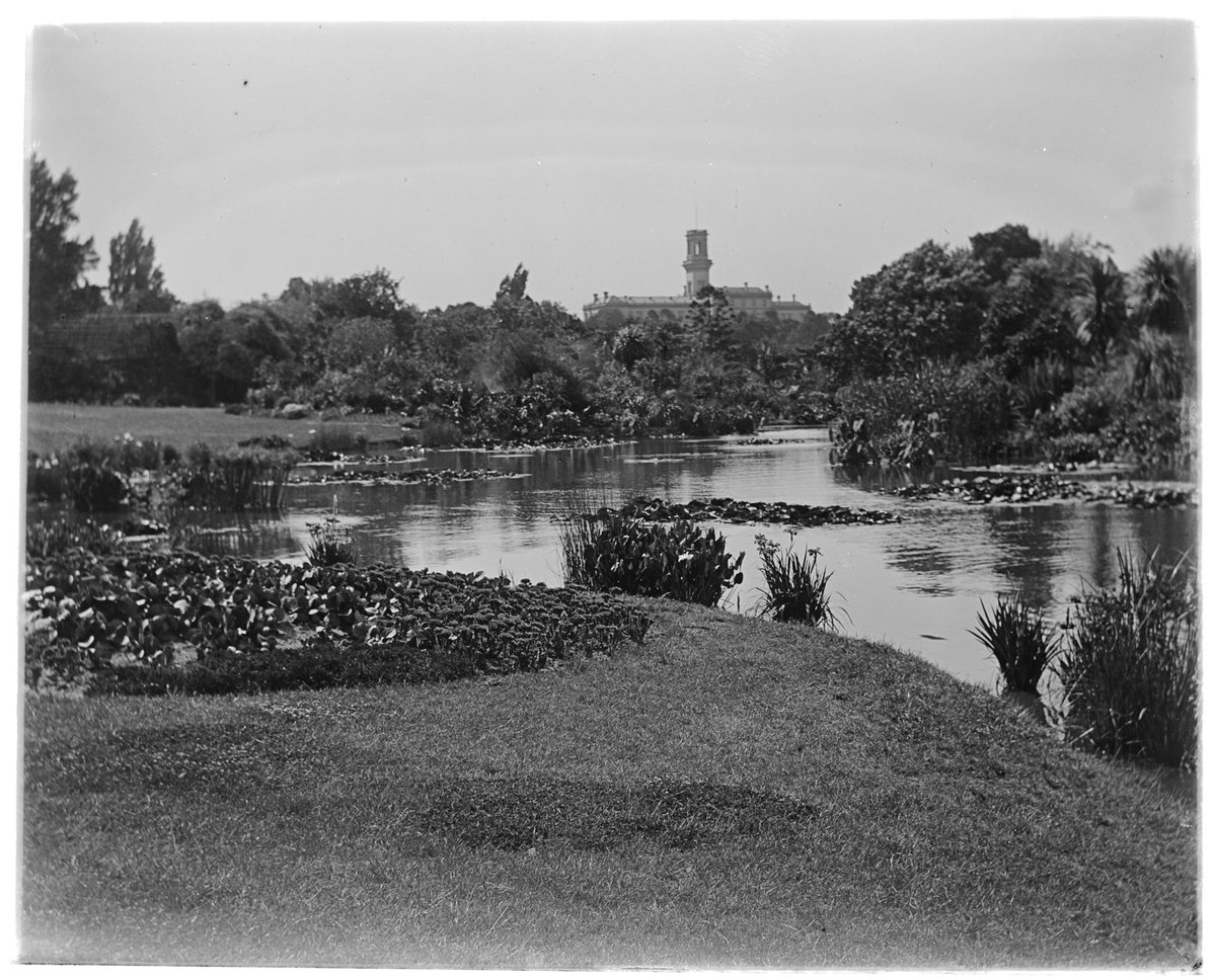 The water lily pond, Botanical Gardens, Melbourne, Vic, Melbourne City (1907–13)