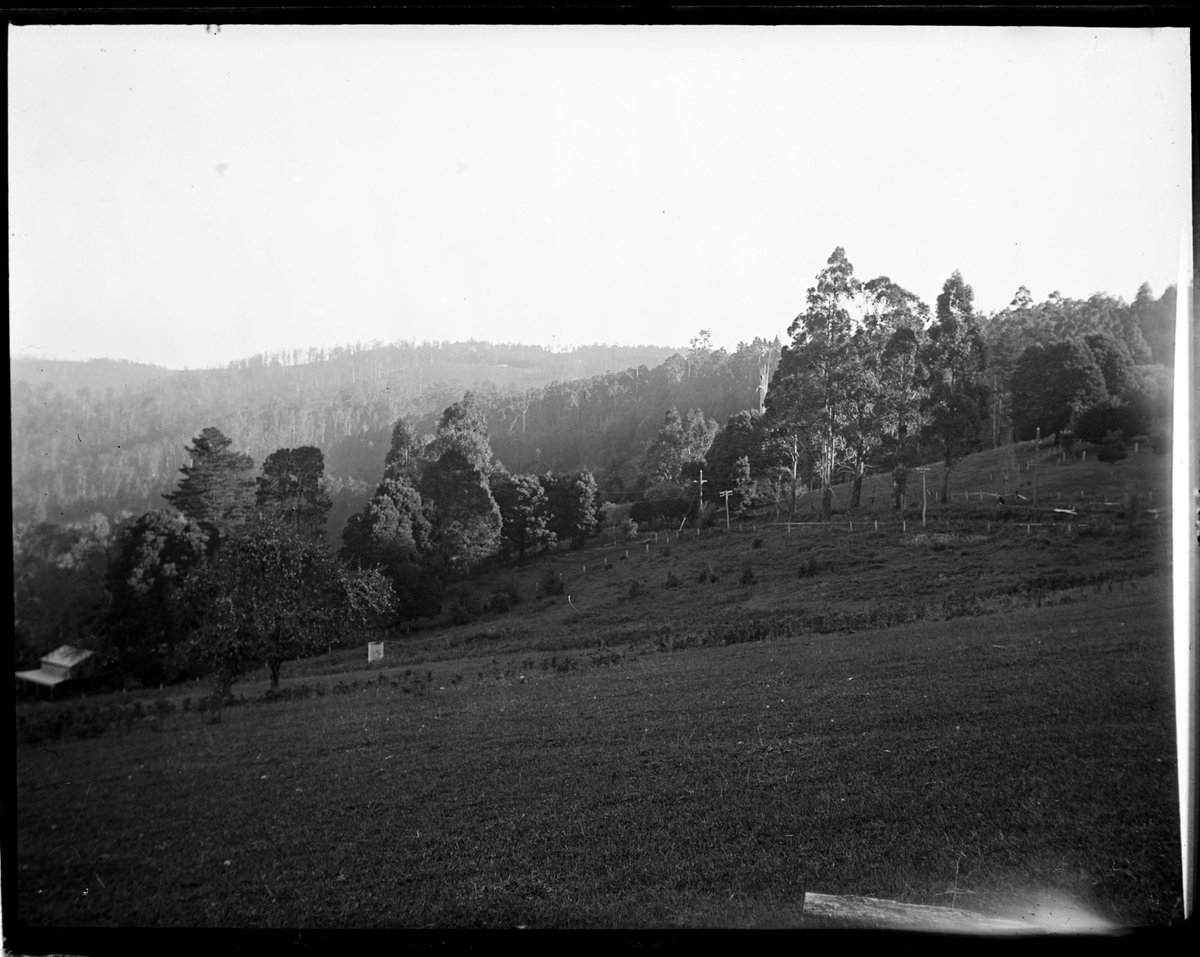 Eltham, 1935