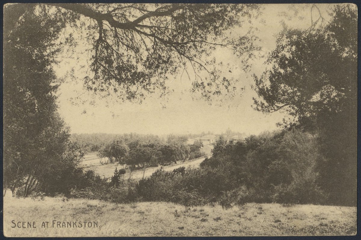 Scene at Frankston (1905?)